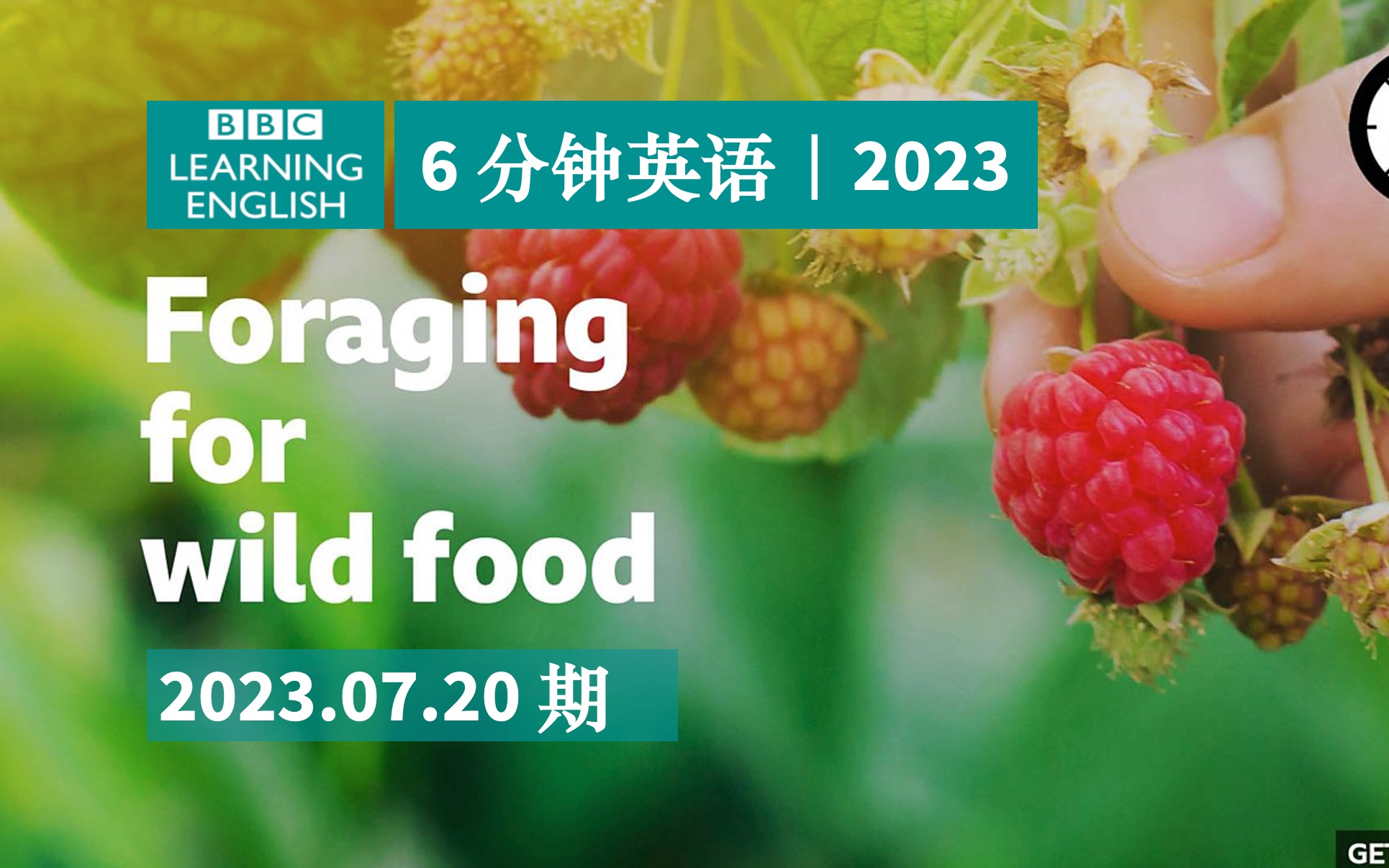 BBC|6 分钟英语|Foraging for wild food寻找野生食物|20230720期哔哩哔哩bilibili