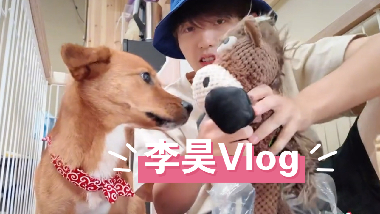 【李昊 利好TV】更新了!好好好五月的Vlog七月发!!!!哔哩哔哩bilibili