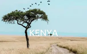 Скачать видео: 环球旅行之非洲——肯尼亚KENYA 1080P（1）