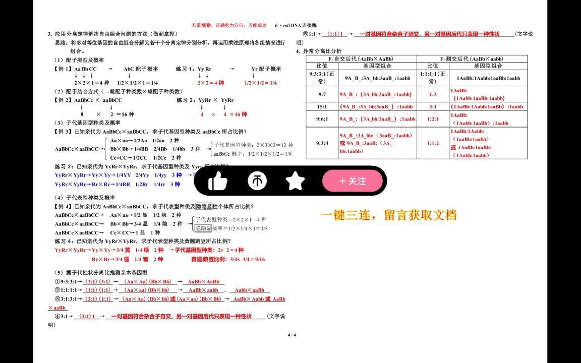 高中生物必修二遗传因子的发现精细知识点总结哔哩哔哩bilibili