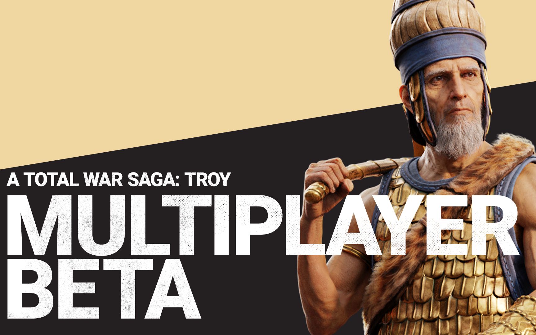 多人模式测试即将到来 /  a total war saga: troy