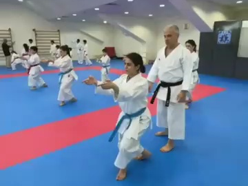 松涛馆空手道 型 云手 细节要点讲解