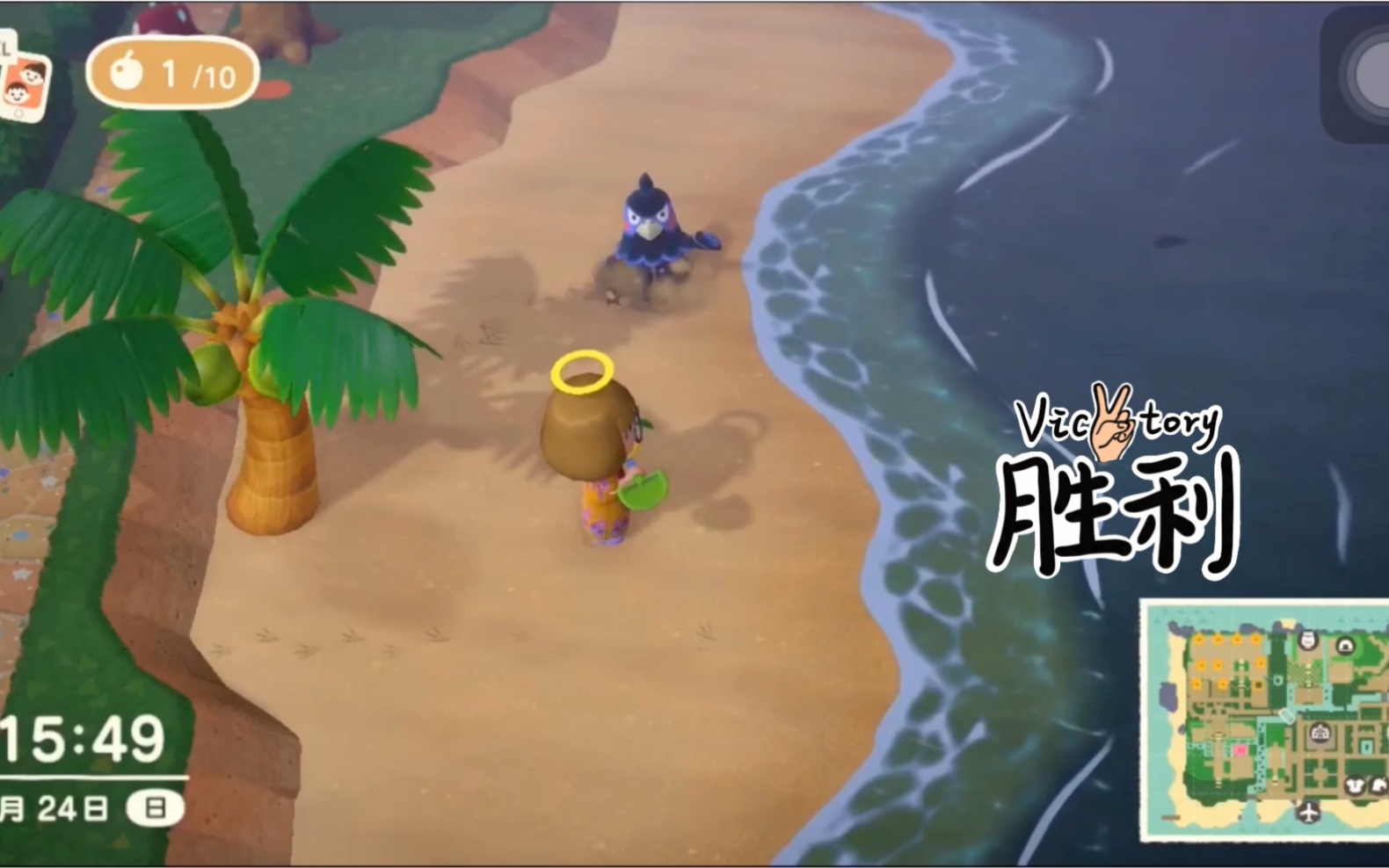 【动物森友会】岛上唯二的男孩子日常苦逼生活-乌骨鸡