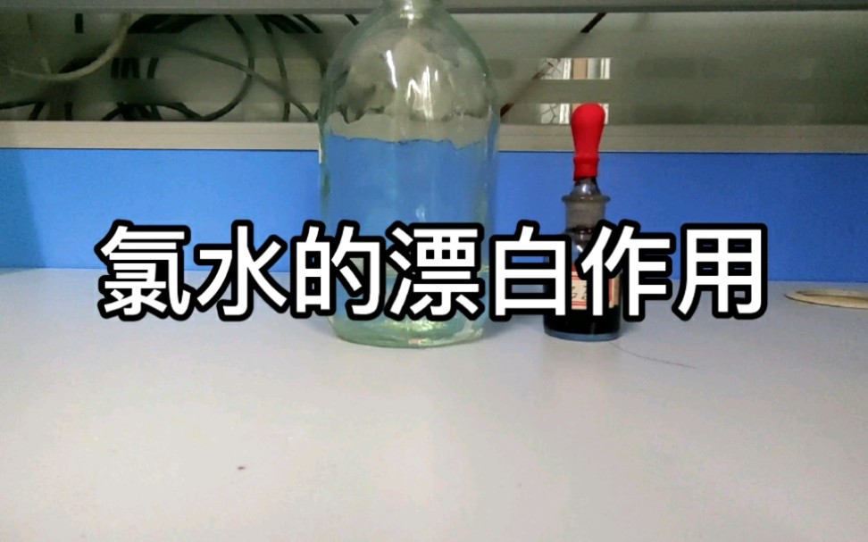 【化学实验】氯水的漂白作用哔哩哔哩bilibili