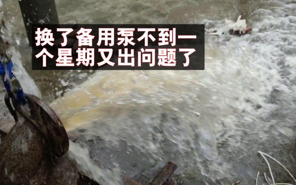 备用潜水泵换上不到一周又出问题,厂长急忙催促检查,这下安心了,潜水泵啥问题也没有,放井下运转声音跟散架一样,又折腾一天,这意大利炮还真不好...