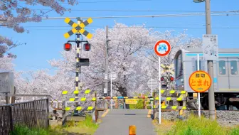 【4K HDR】原来动漫里的世界真实存在！｜Links 杜比视界