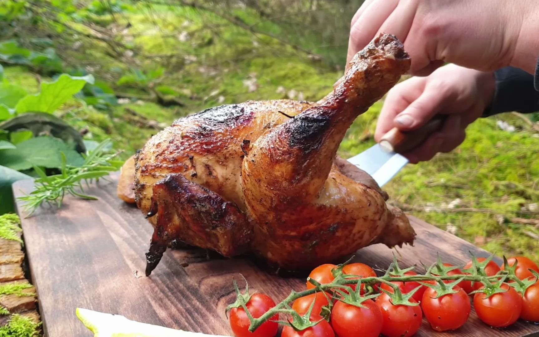 一个人在野外露营沉浸式烤鸡