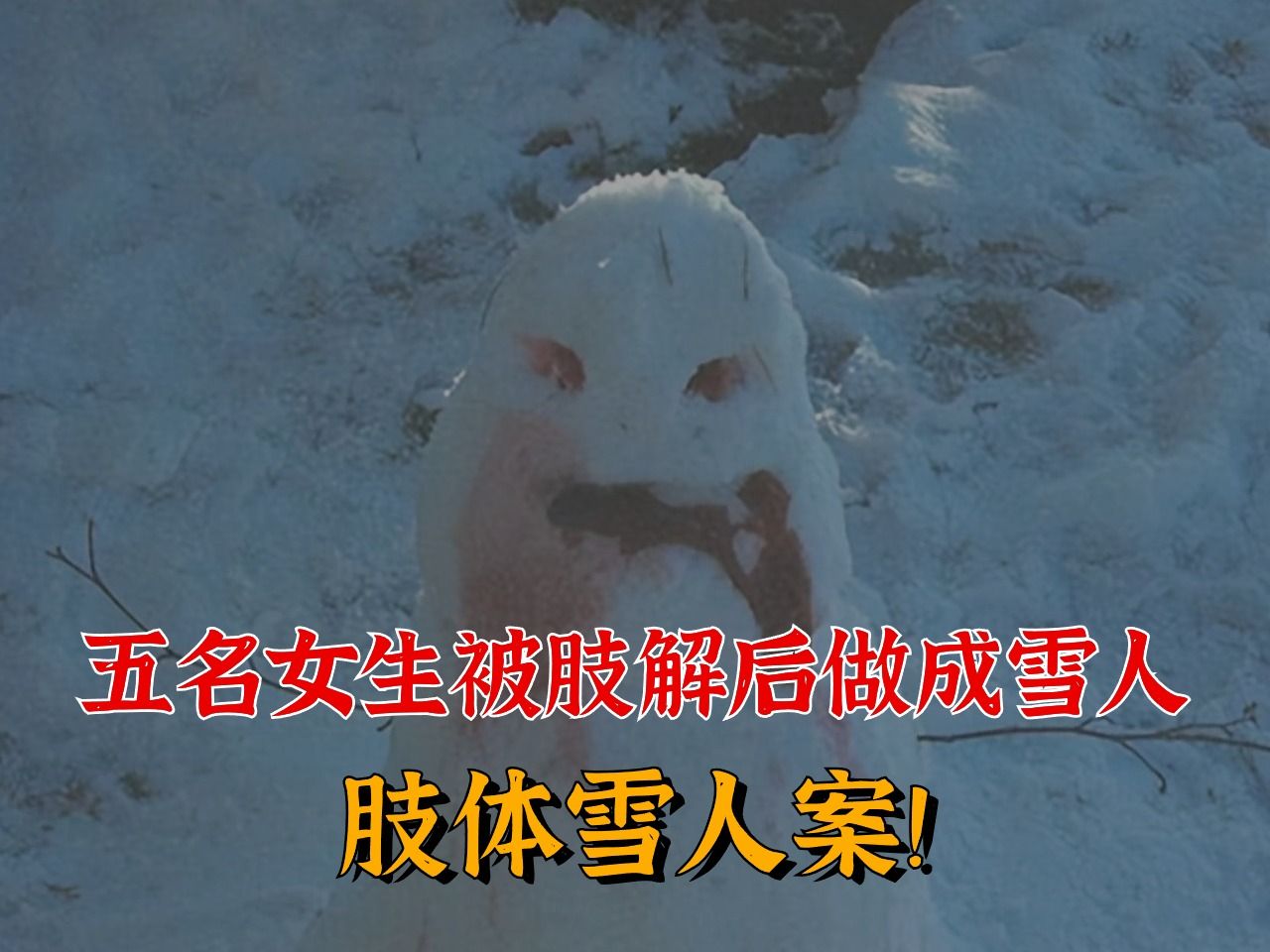 黑龙江肢体雪人案图片