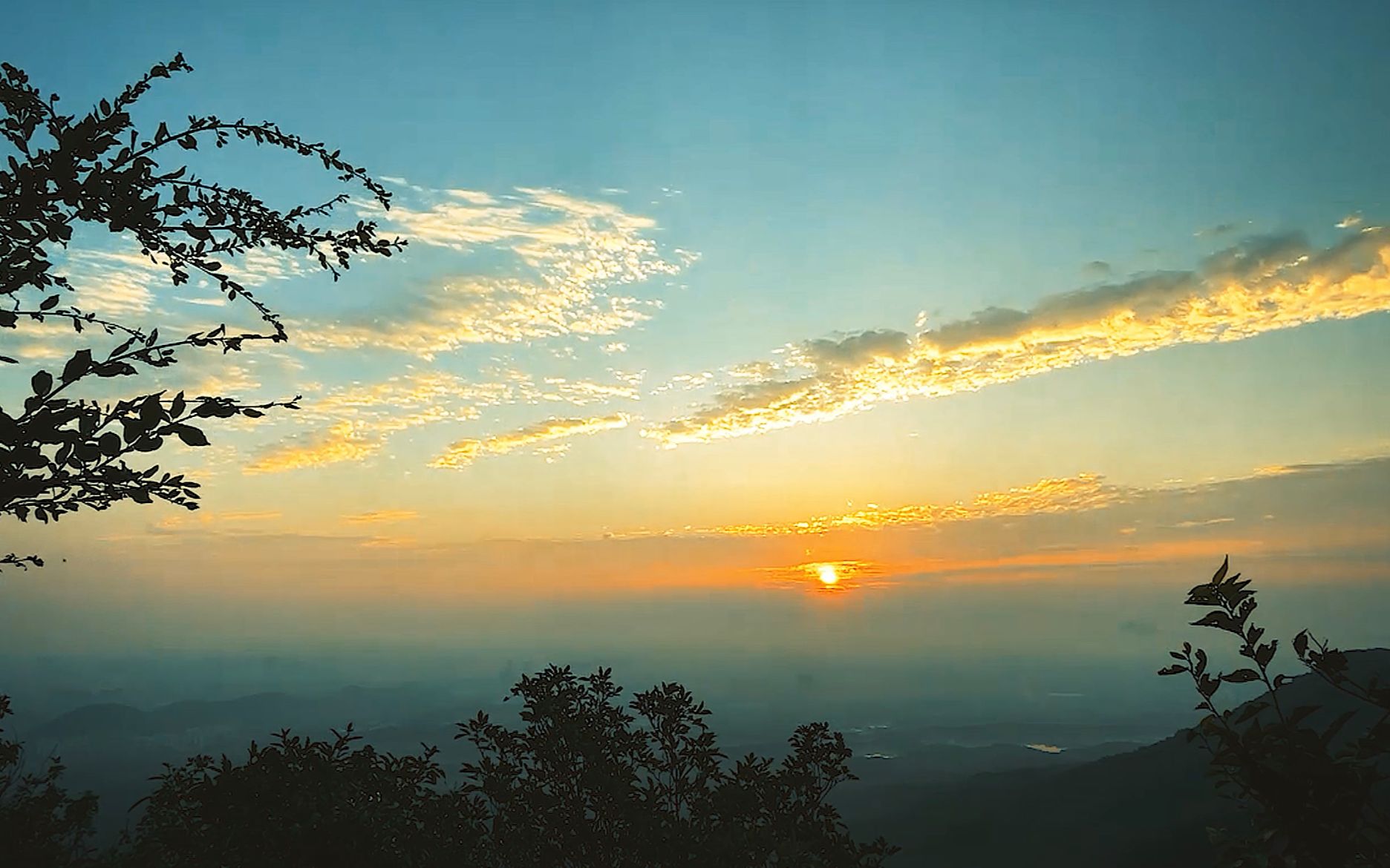 紫金山日出