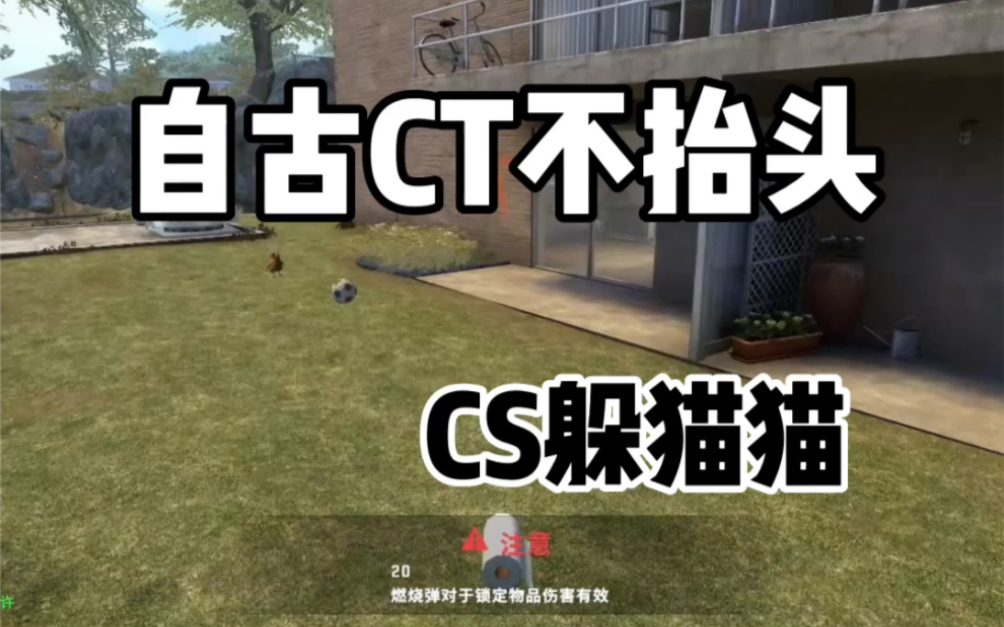 自古CT不抬头CSGO