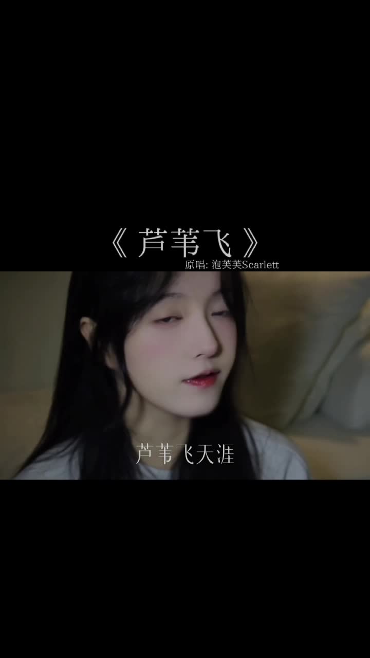 《飞》歌曲(飞歌曲视频)