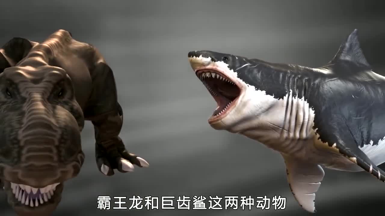 巨齿鲨vs霸王龙,陆地咬合力最强生物和海洋咬合力最强生物的对决