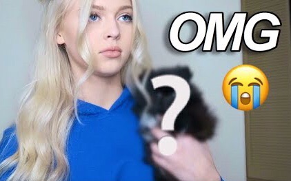 [图]【Loren Gray】见见我的新宠物 | MEETING MY NEW PUPPY FOR THE FIRST TIME