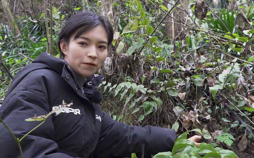 山不见我,我自去看山.立冬后的山里还能遇到这么多好玩儿的东西呢!哔哩哔哩bilibili