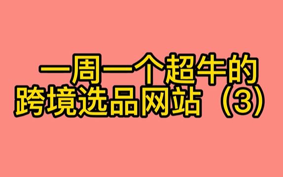 4个“新奇特”跨境选品网站,一个比一个牛哔哩哔哩bilibili