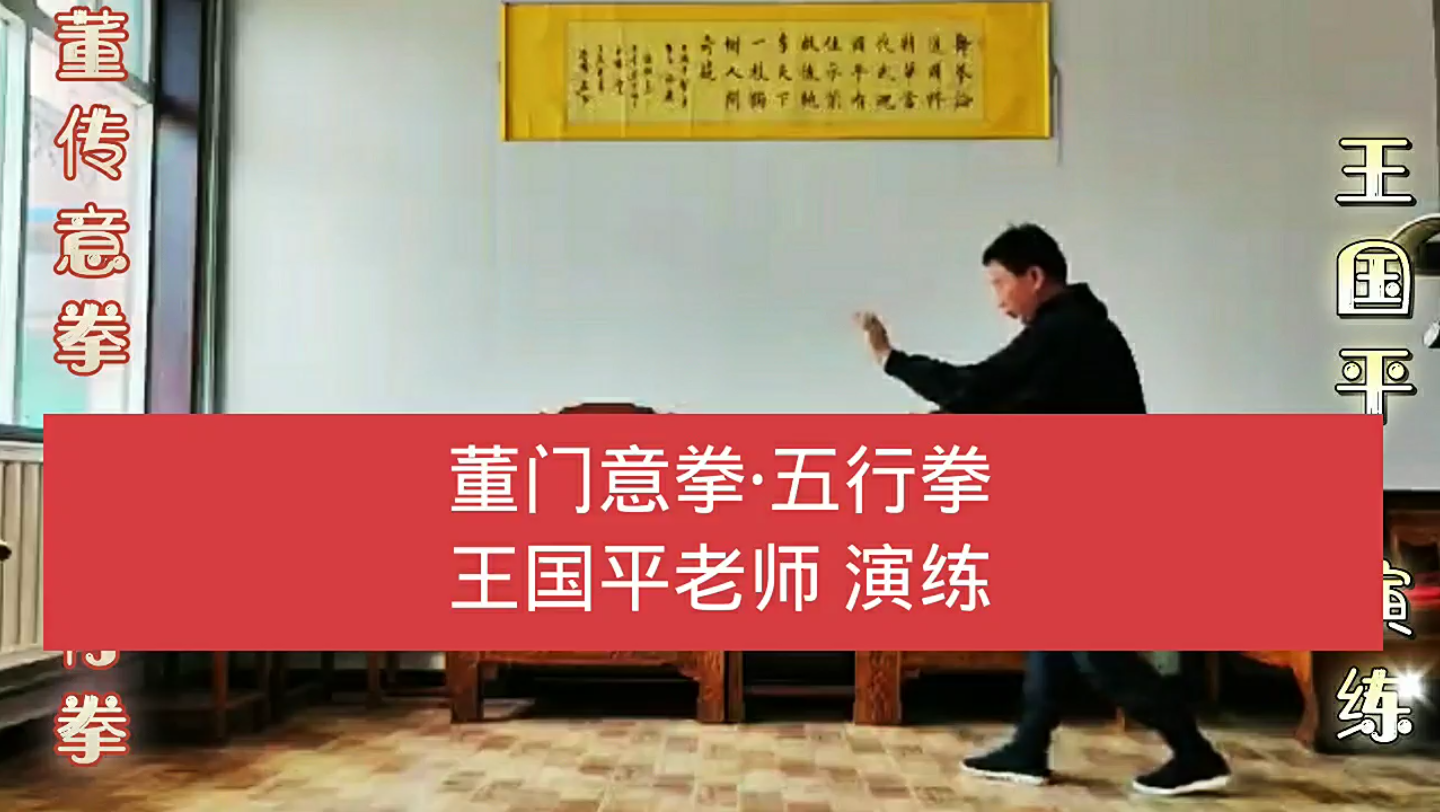 董传意拳五行拳王国平老师演练董传意拳李桂昌王瑞栋