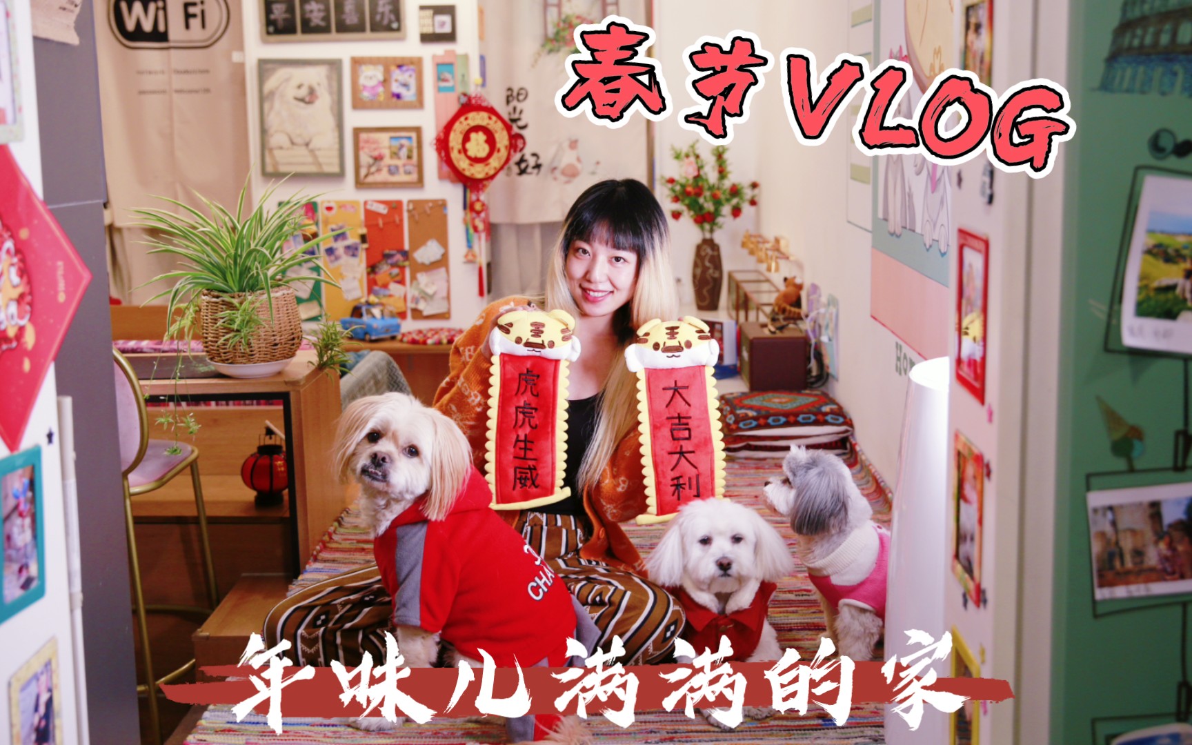 春节VLOG|布置年味儿满满的家!过年一定要有仪式感~哔哩哔哩bilibili