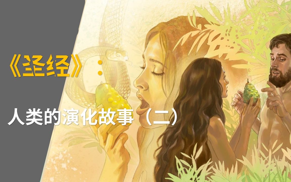 堕入凡尘:私人财产的诞生&女性从属地位的形成哔哩哔哩bilibili