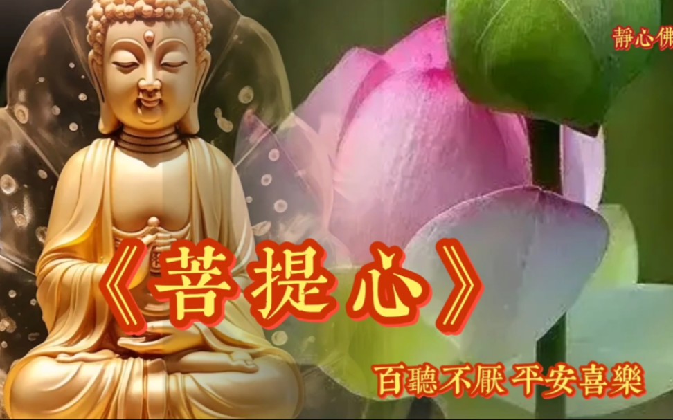 静心好听佛曲《菩提心》阿弥陀佛,愿你长长久久,平平安安