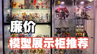 【随手拍】推荐一个便宜好用的模型展示柜