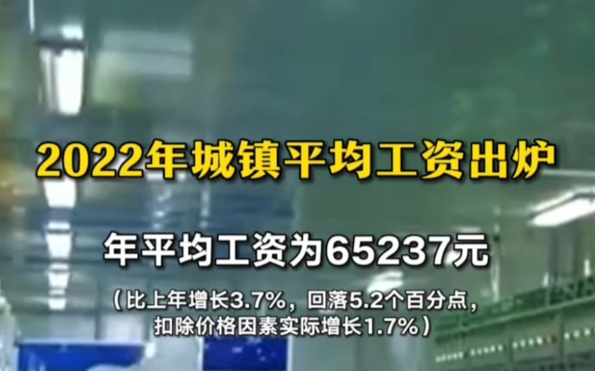 2022年私营单位年均工资65237元哔哩哔哩bilibili