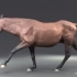 马在奔跑时骨骼和肌肉的运动规律学动画和绘画实用经典视频