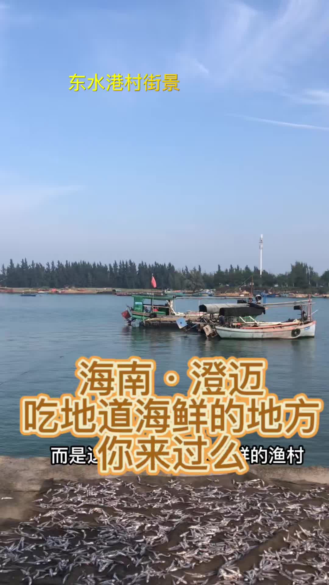 澄迈老城吃地道海鲜的地方哔哩哔哩bilibili