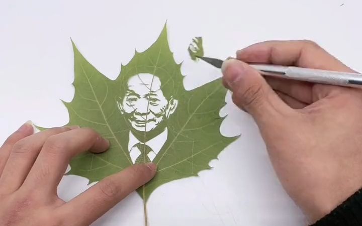 小小的一片叶子制作一副袁隆平院士的叶雕肖像_哔哩哔哩_bilibili