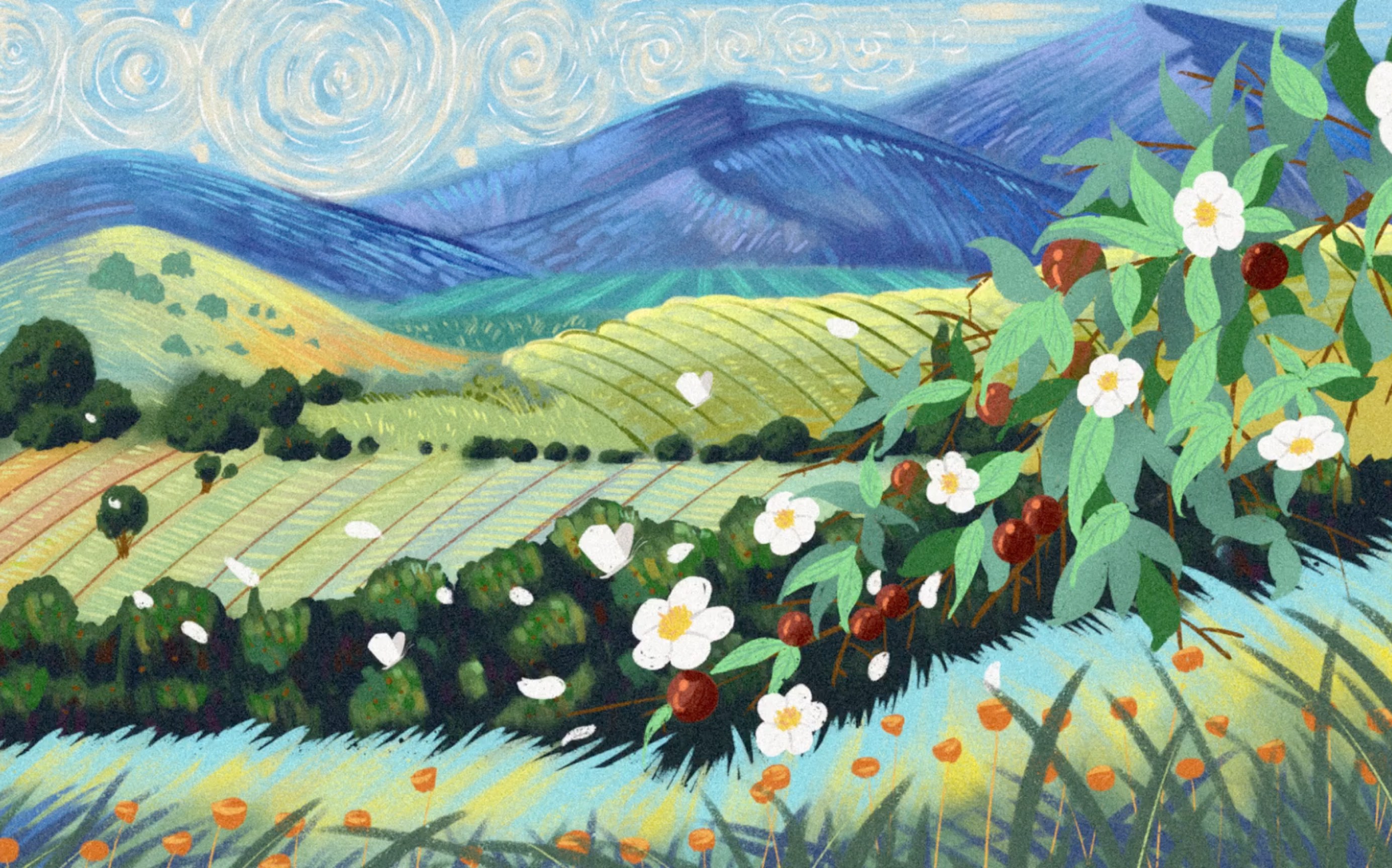 【ipad绘画】白山茶插画过程_哔哩哔哩_bilibili