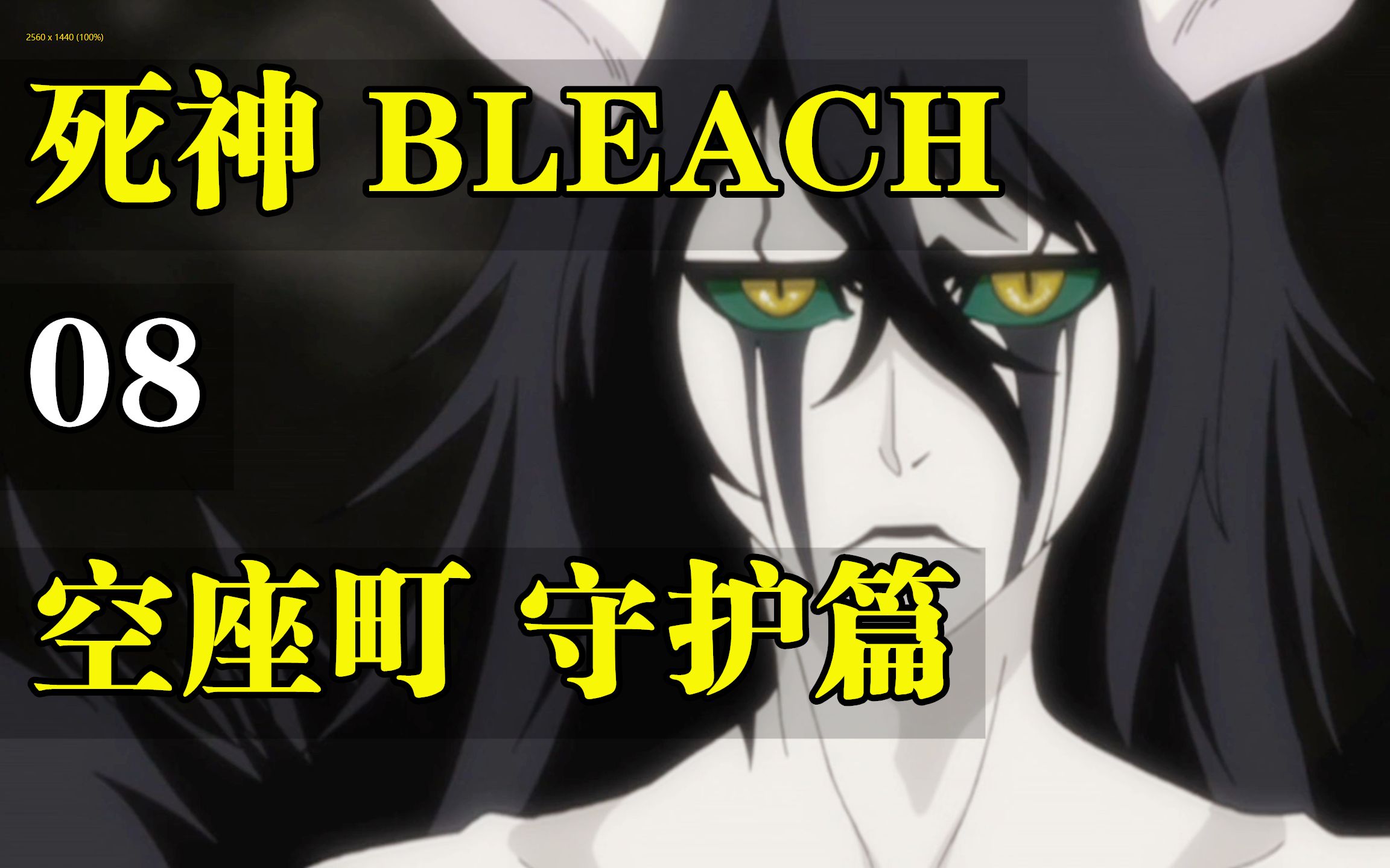 [图]死神BLEACH 217-275集！空座町守护！