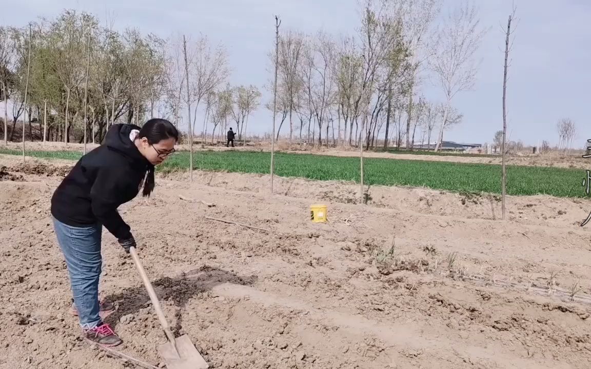 [图]你想回乡下建个院子吗？却又面临种种困难，那就跟我回村吧