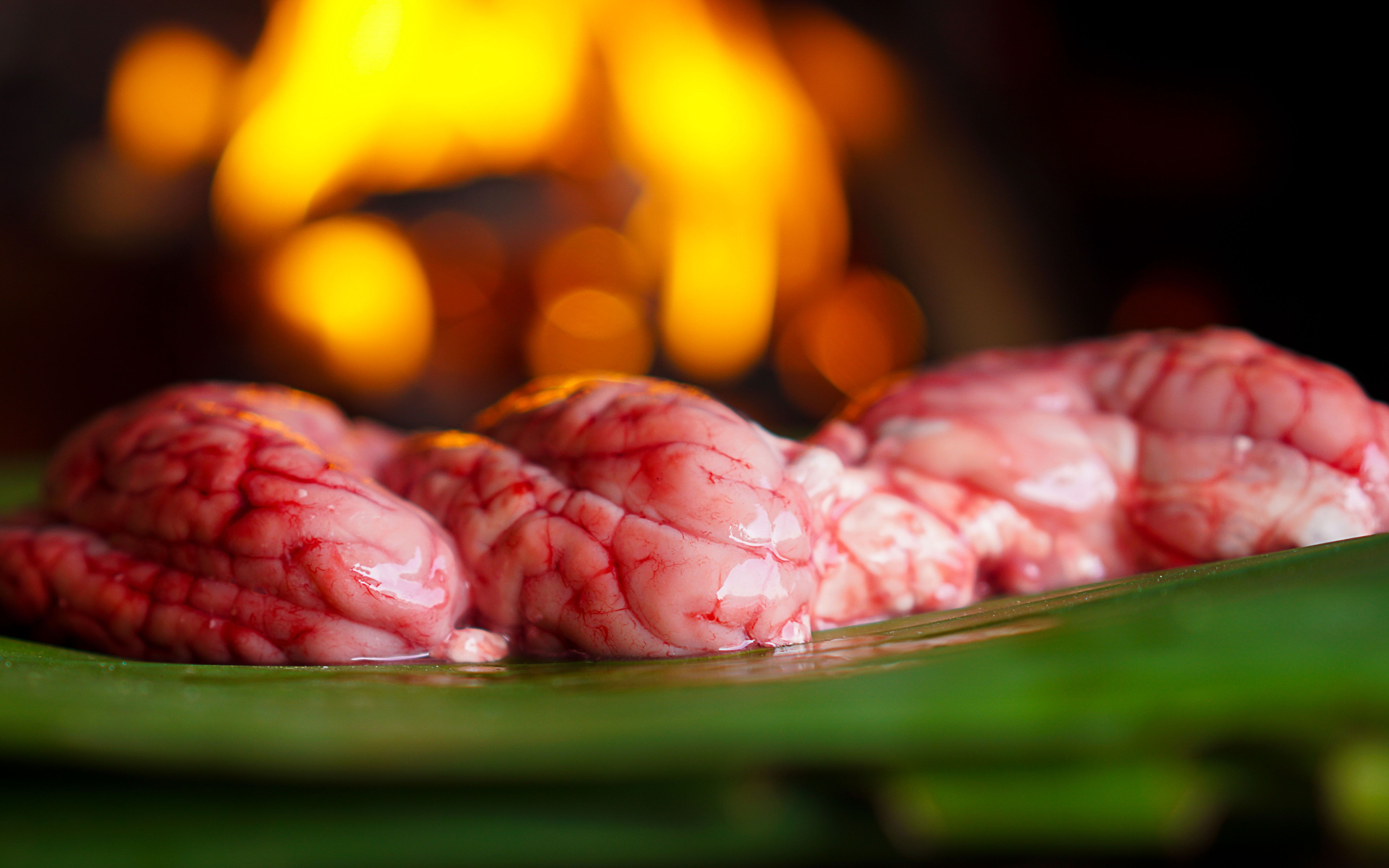 猪脑花这样吃才爽,一个人吃三个,吃完真的还想吃【山人记】_哔哩哔哩_