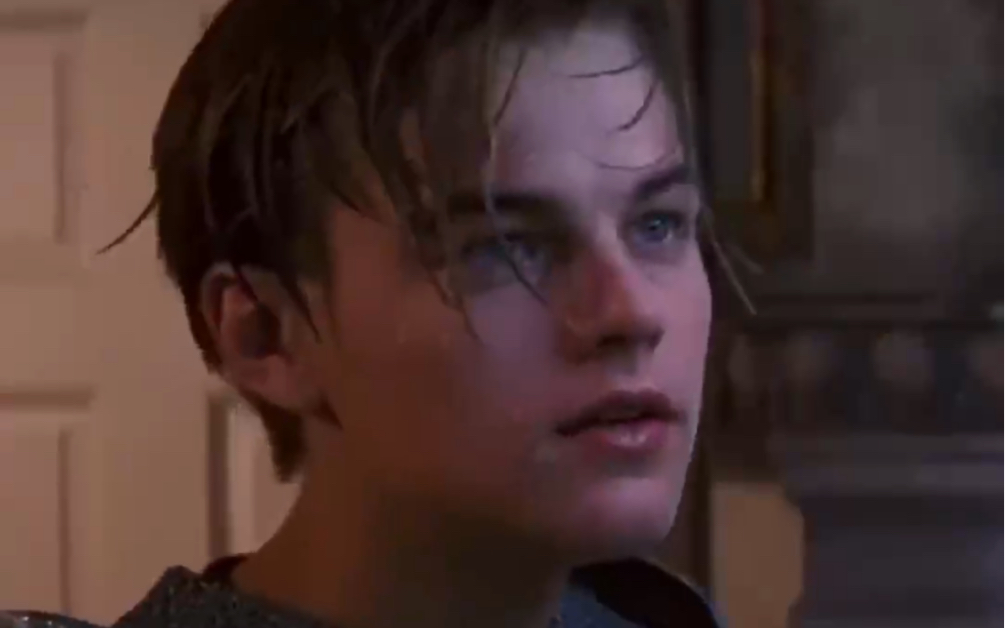 小李子 【Leonardo DiCaprio】哔哩哔哩bilibili