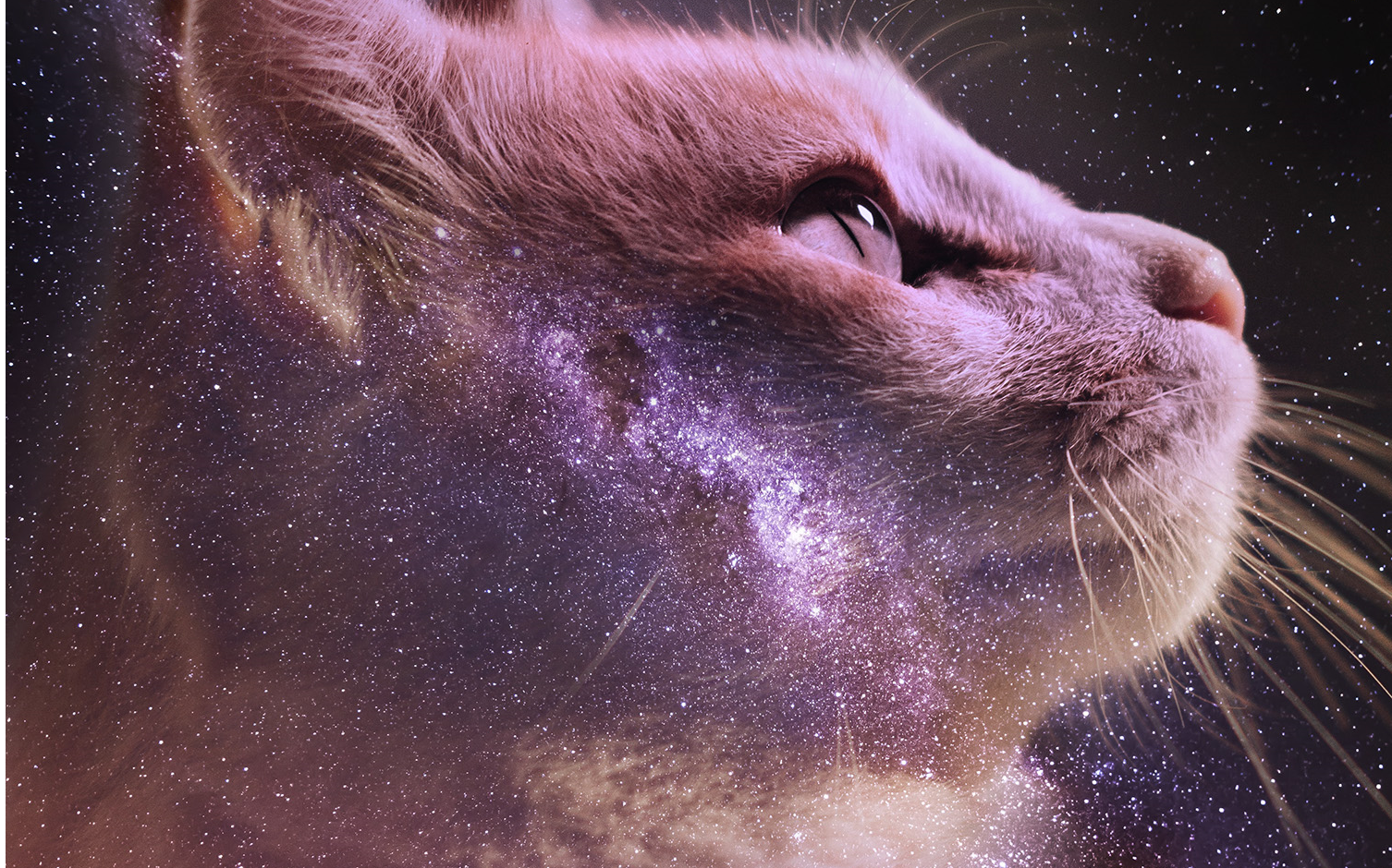 如何用ps做多重曝光创意图片