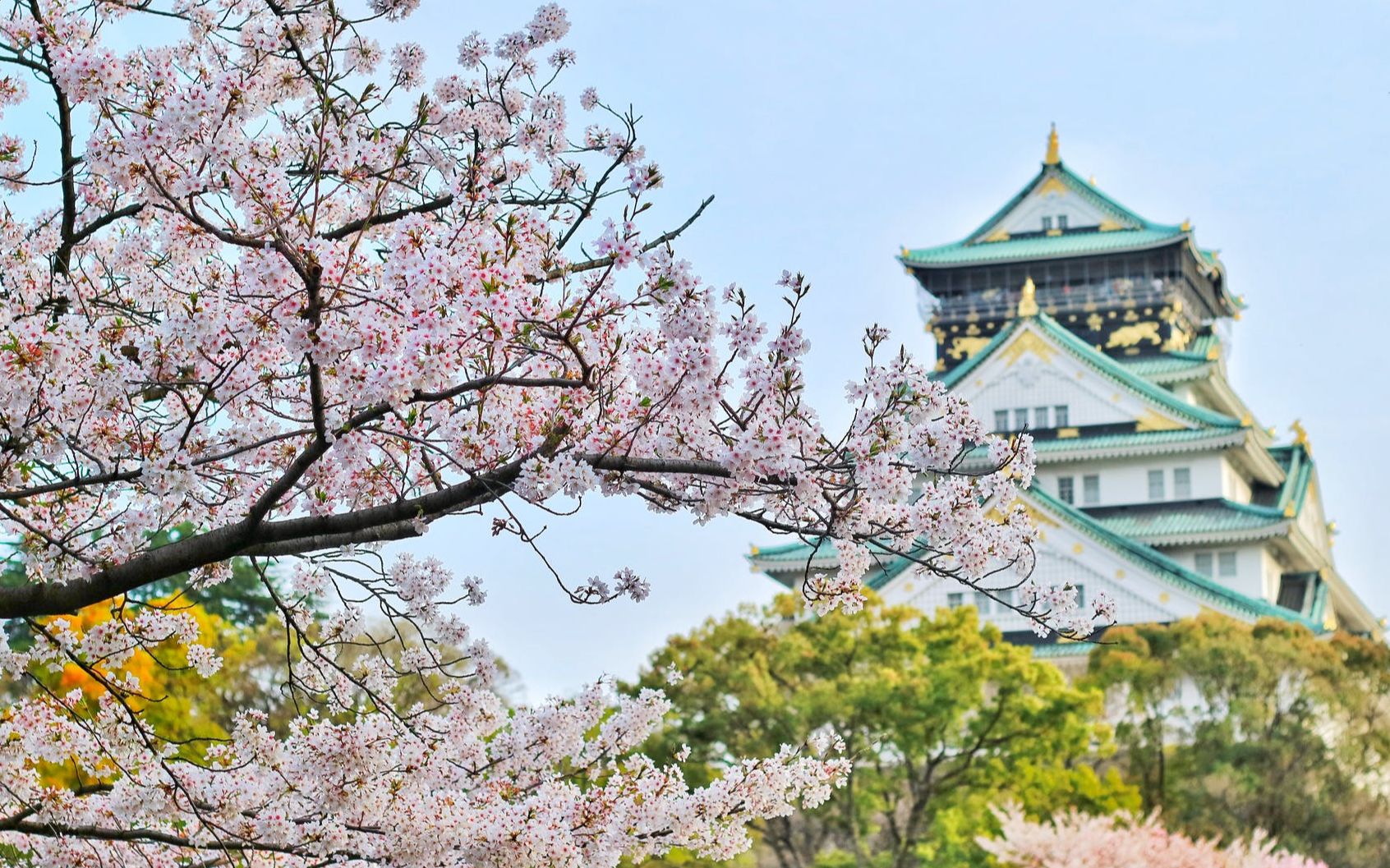 [图]【语文大师】惠崇春江晚景——宋 苏轼