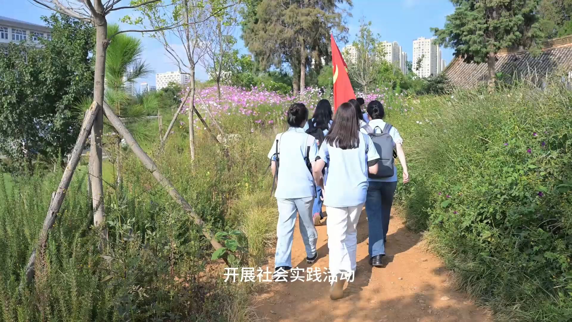 《扎根》第三幕:社会实践启程.第八届全国高校大学生微电影展示哔哩哔哩bilibili