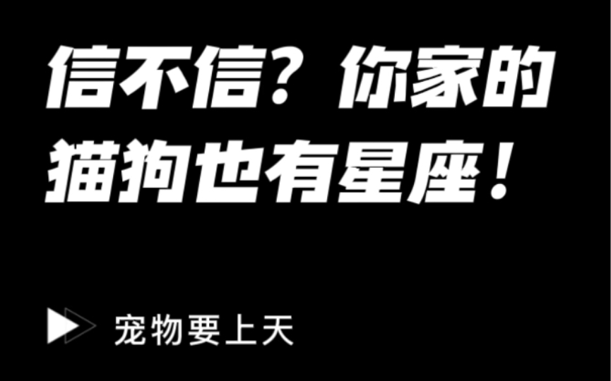 [图]原来，你家的猫狗也有星座！不是一家人，不进一家门呀！