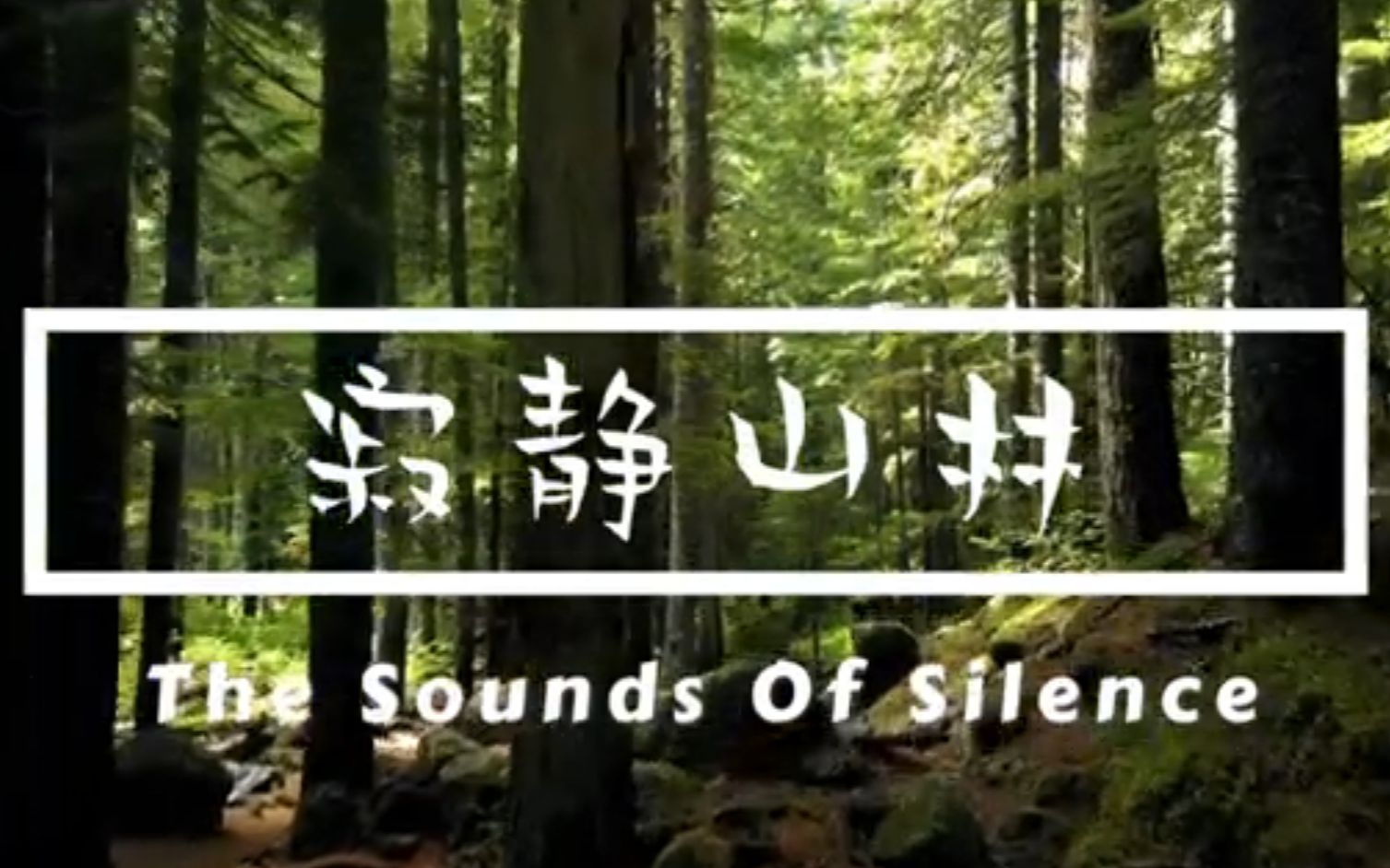 [图]班得瑞 优美名曲 –《寂静山林 The Sounds Of Silence》