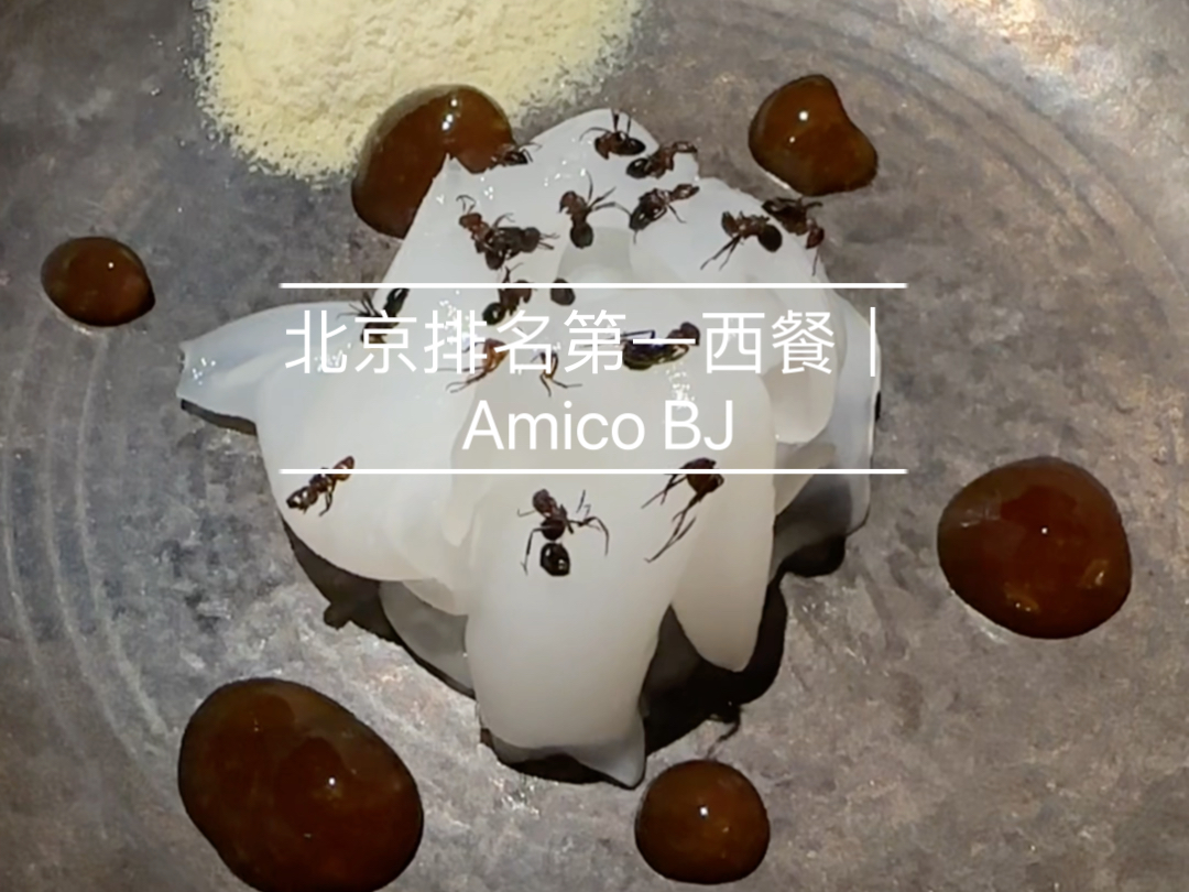 北京排名第一西餐!Amico BJ哔哩哔哩bilibili