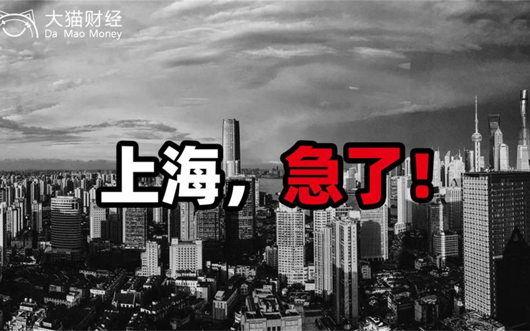 上海1854家“白名单”公司背后,到底藏了哪些关键信息?哔哩哔哩bilibili