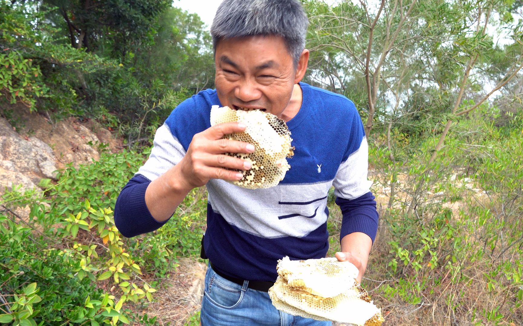 大风天休渔,阿兴上山挖蜂蜜摘野果,这日子比抓大鱼还过瘾