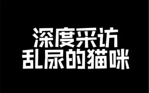 Download Video: 深度采访乱尿的猫咪