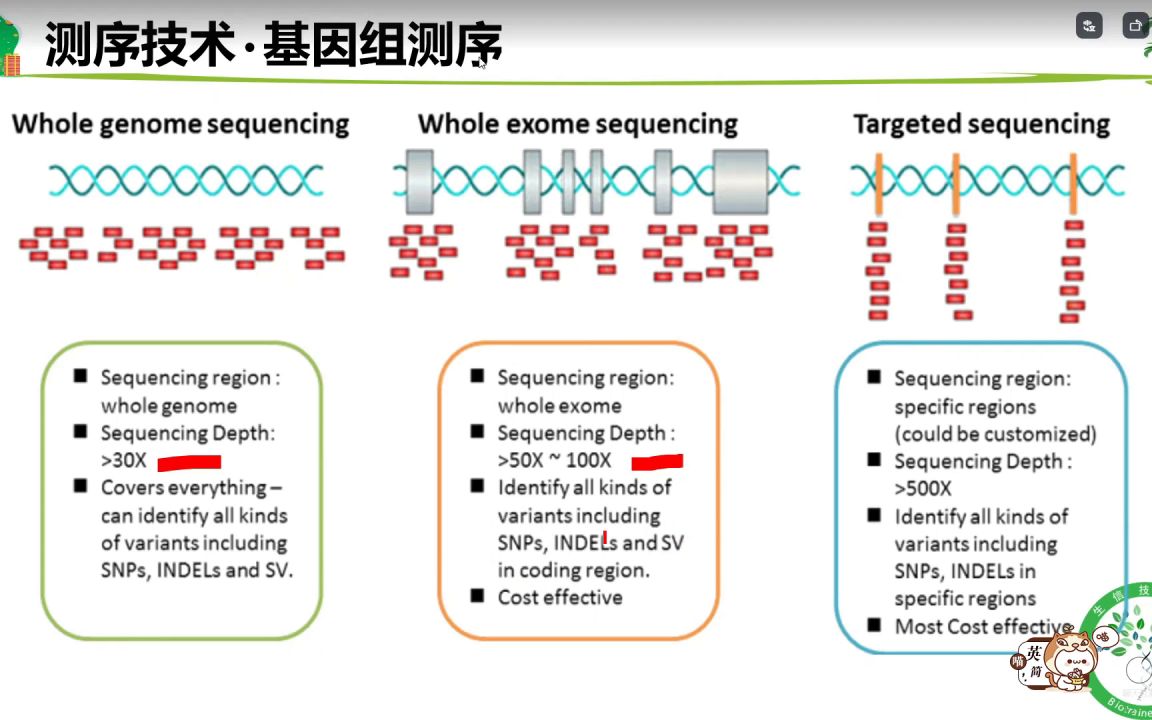 第二届近红外脑功能成像数据分析实战班(医学会员免费学哔哩哔哩bilibili