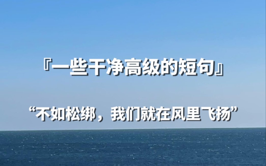 【句子控】“不如松绑,我们就在风里飞扬.”一些干净高级的短句哔哩哔哩bilibili