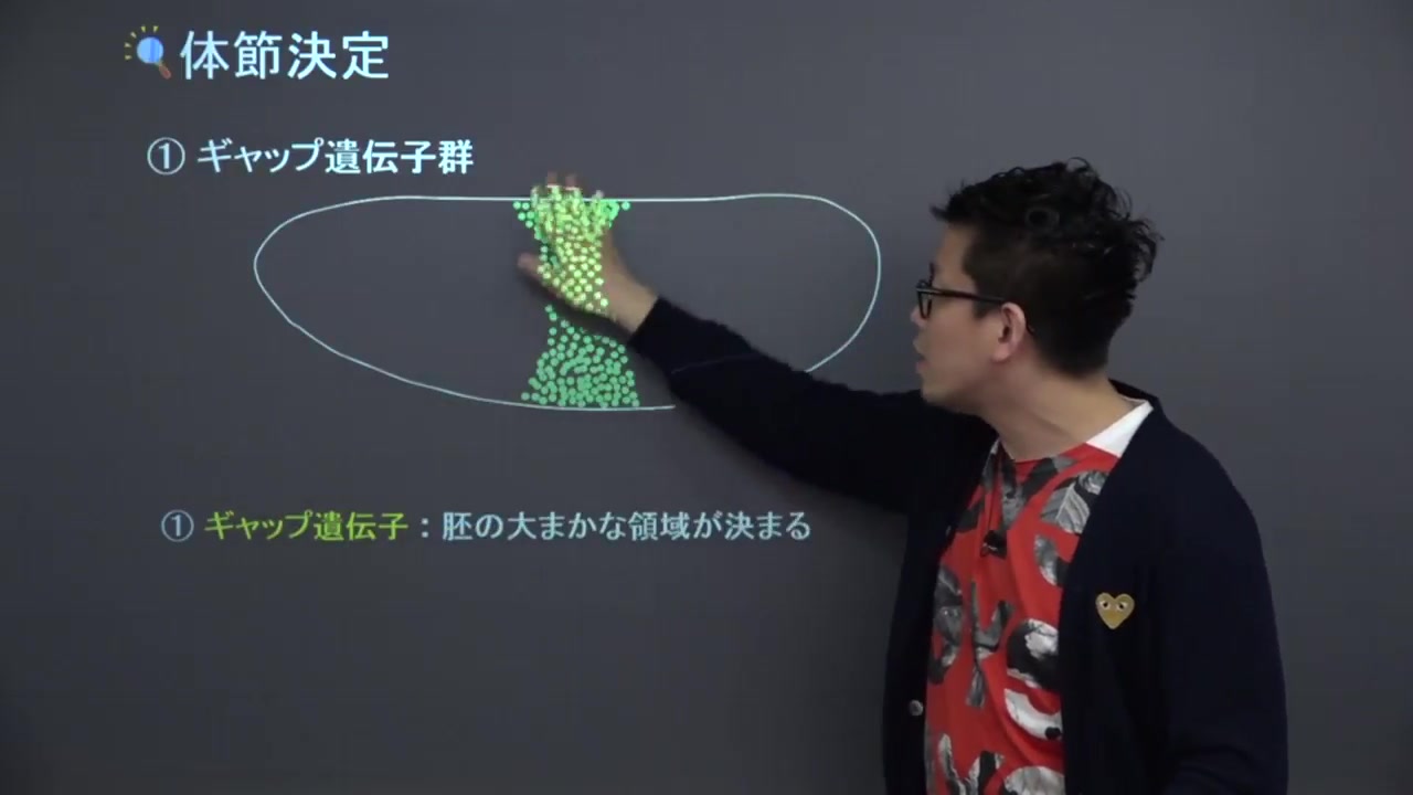 【日本中学生物】 动物的繁殖、受精过程哔哩哔哩bilibili