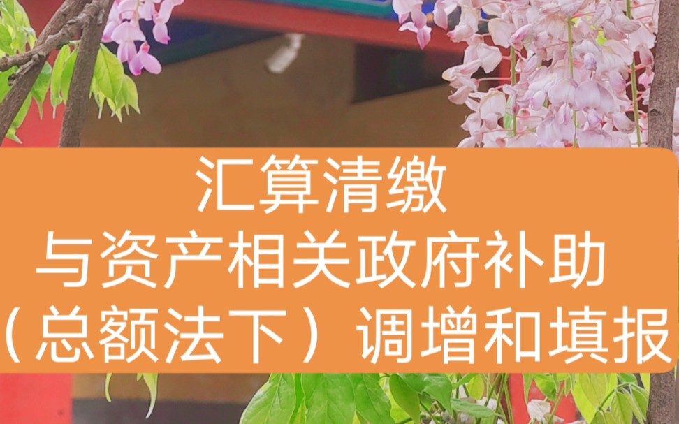 汇算清缴与资产相关政府补助(总额法下)企业所得税(税前)调增和申报.哔哩哔哩bilibili