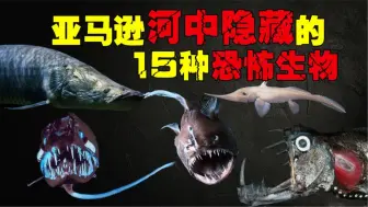 Download Video: 亚马逊河中隐藏的15大恐怖生物，食人鱼垫底，谁才是真正河霸？