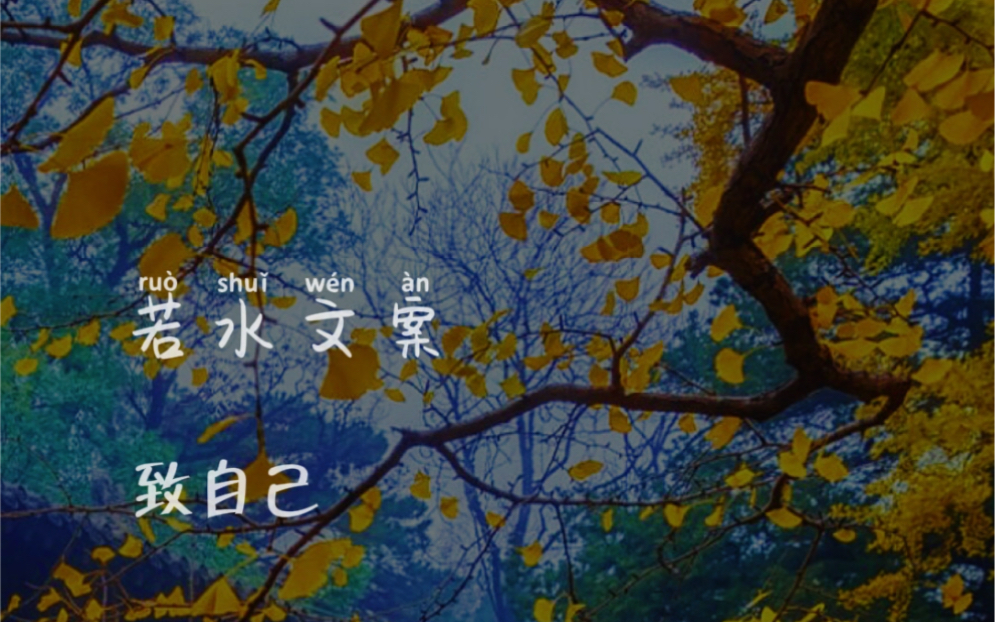 黄粱一梦到头来皆是空欢喜一场