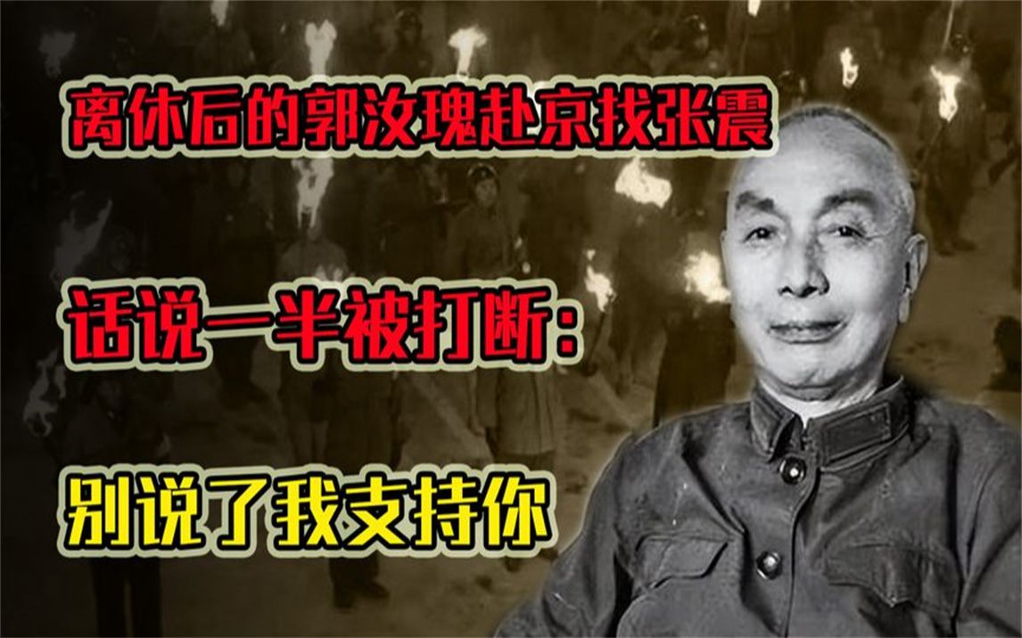 90年离休后的郭汝瑰赴京找张震,话说一半被打断:别说了我支持你