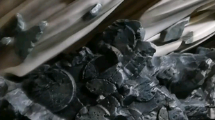 白胡子 哔哩哔哩 つロ干杯 Bilibili